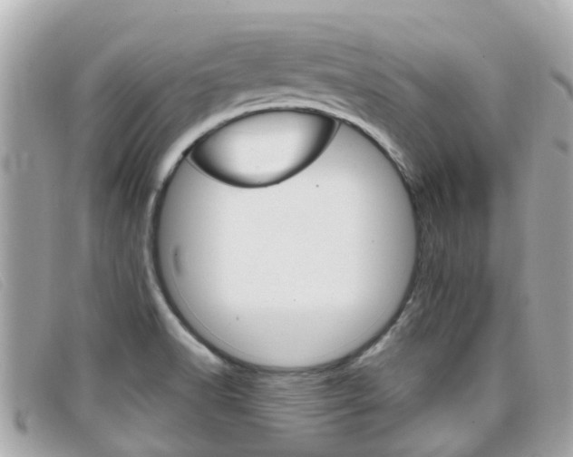 X0000099321518200805020742