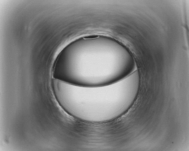 X0000099321520200805020742