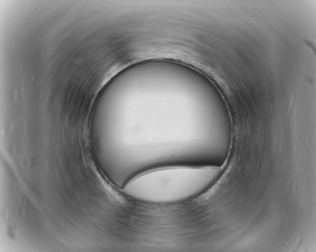 X0000099321521200805020742
