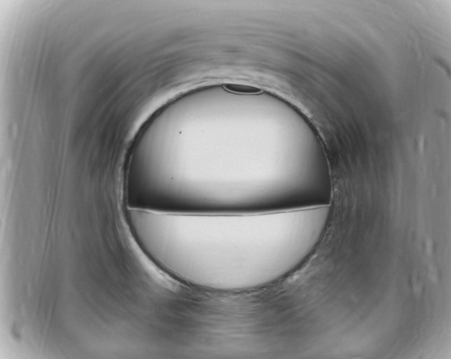X0000099321523200805020742