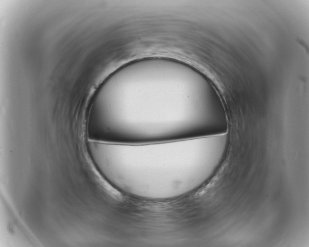 X0000099321525200805020742