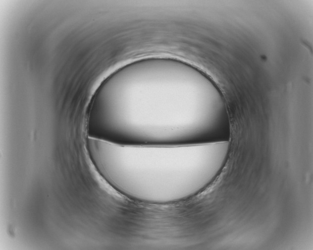 X0000099321526200805020742