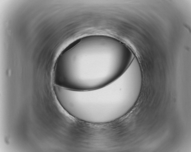 X0000099321528200805020742