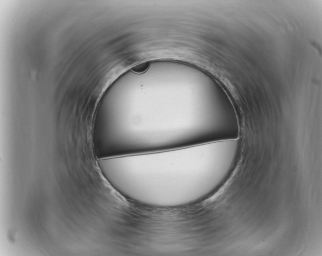 X0000099321529200805020742