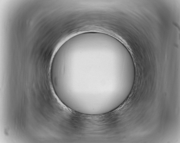X0000099321536200805020742