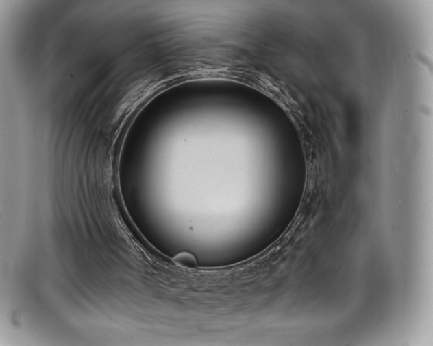 X0000099320002200805021323