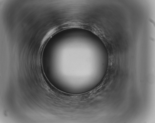 X0000099320004200805021323