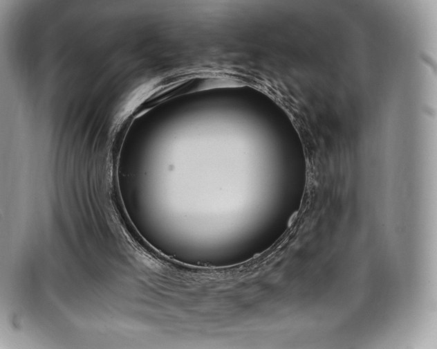 X0000099320005200805021323