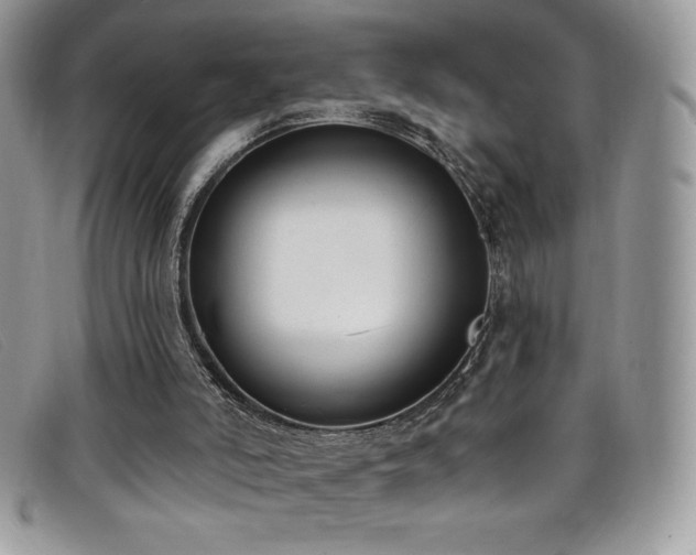 X0000099320006200805021323