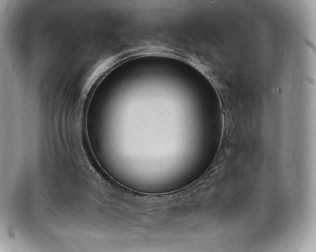 X0000099320007200805021323