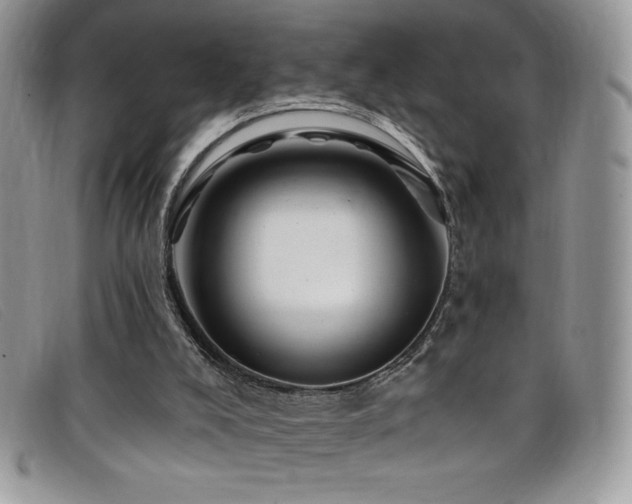 X0000099320008200805021323