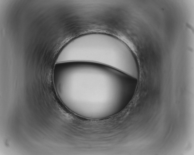 X0000099320009200805021323