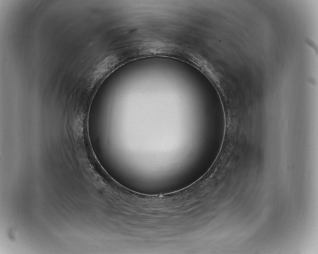 X0000099320010200805021323