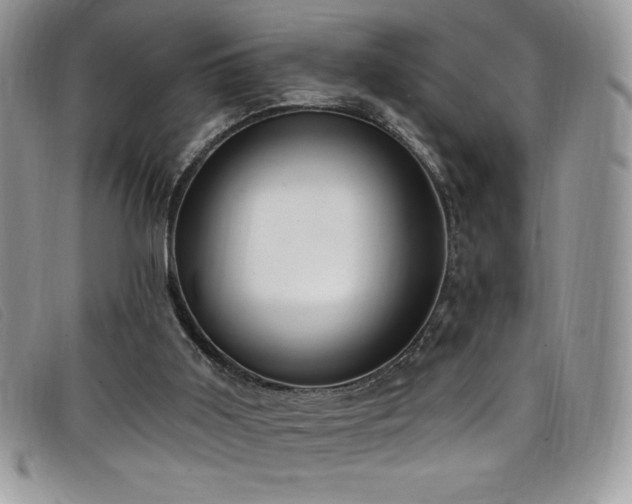 X0000099320011200805021323