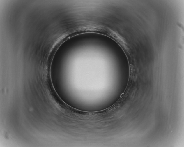 X0000099320012200805021323