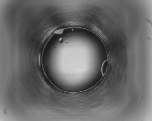 X0000099320014200805021323