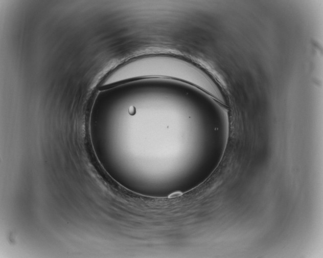 X0000099320015200805021323