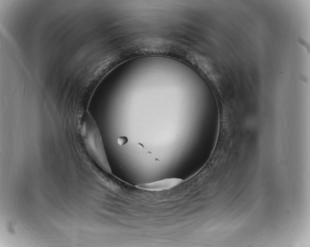 X0000099320017200805021323