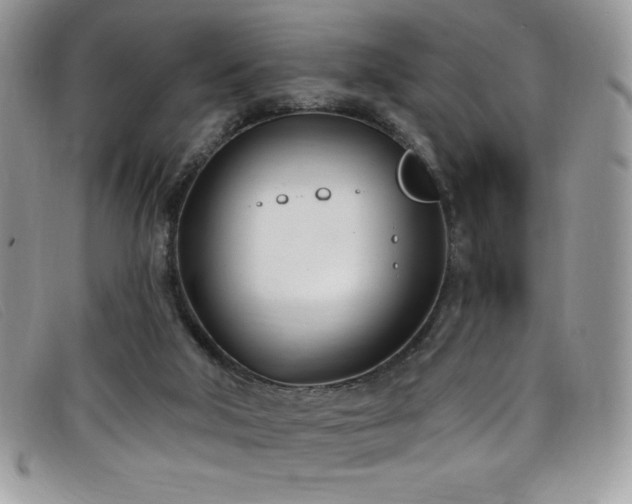 X0000099320018200805021323