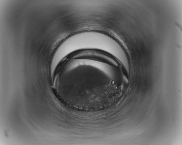 X0000099320019200805021323