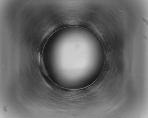 X0000099320020200805021323