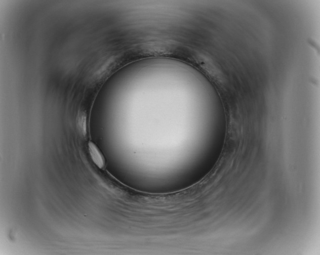 X0000099320021200805021323