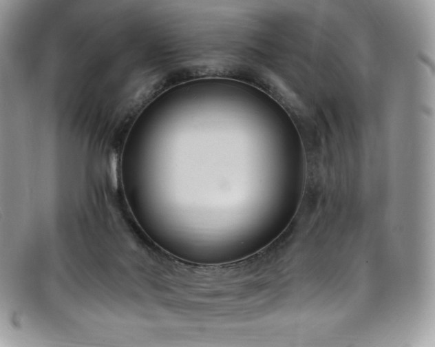 X0000099320022200805021323