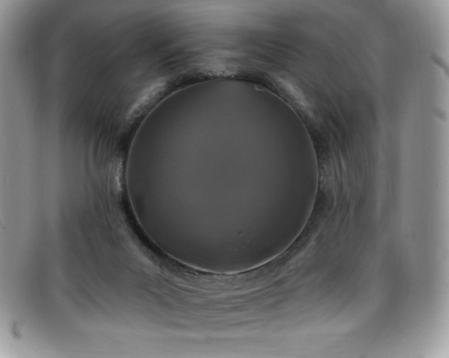 X0000099320023200805021323