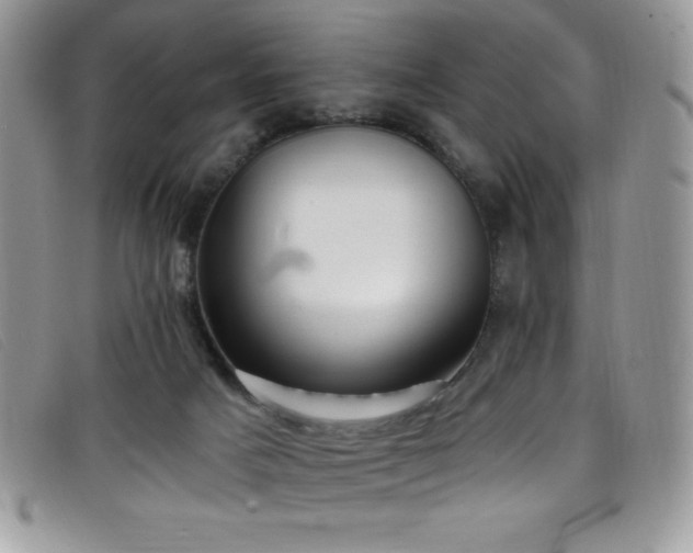 X0000099320025200805021323