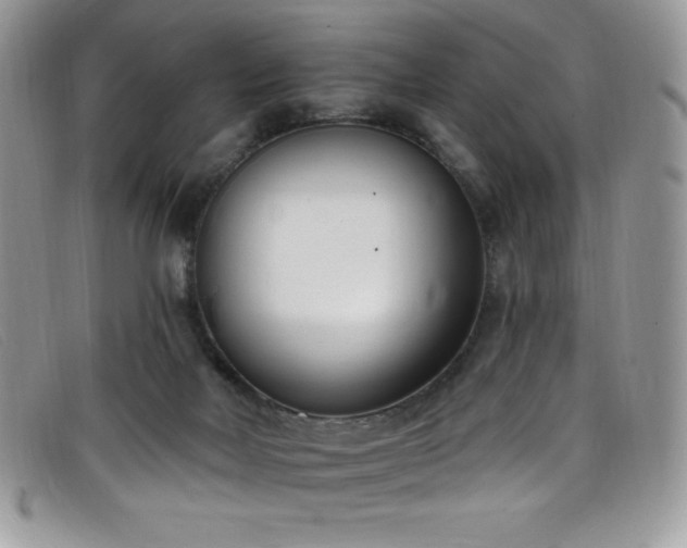 X0000099320026200805021323