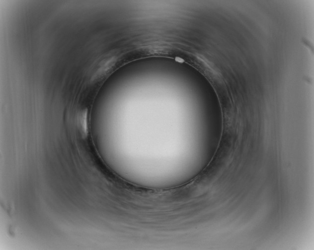 X0000099320028200805021323