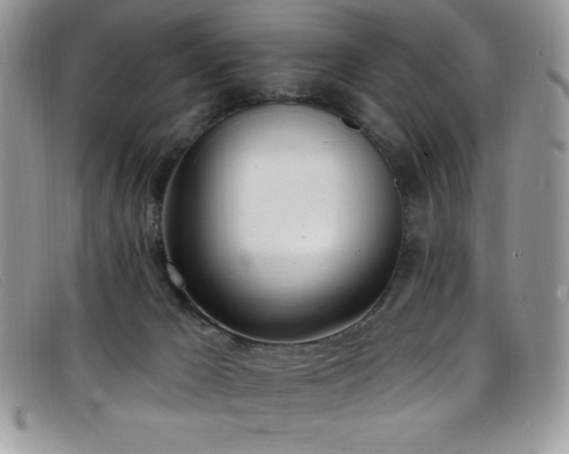 X0000099320029200805021323