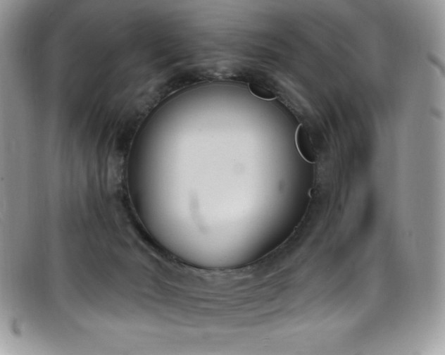 X0000099320030200805021323