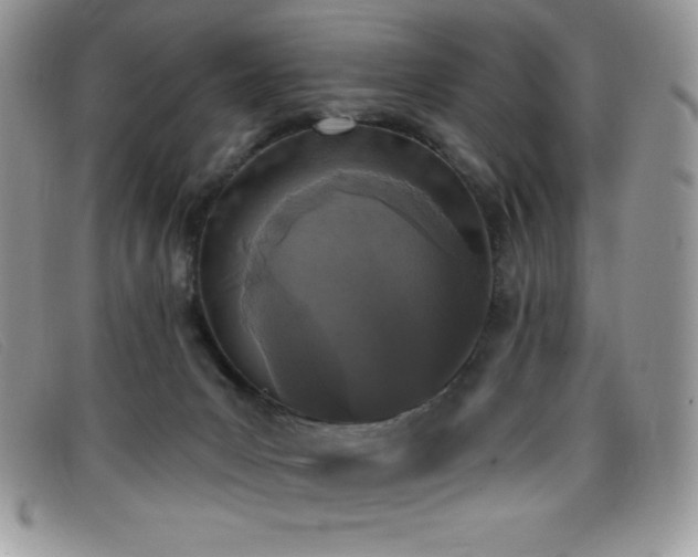 X0000099320031200805021323