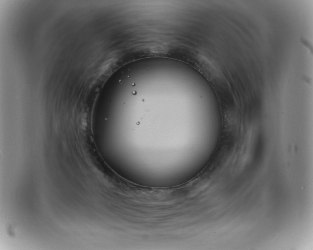 X0000099320032200805021323