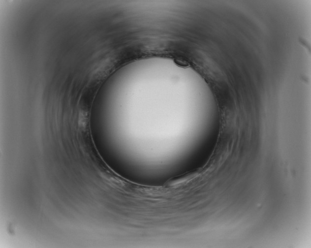 X0000099320033200805021323