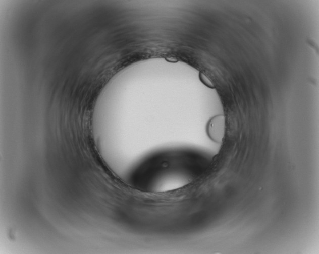 X0000099320034200805021323