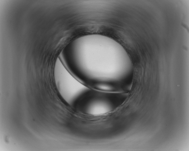 X0000099320035200805021323