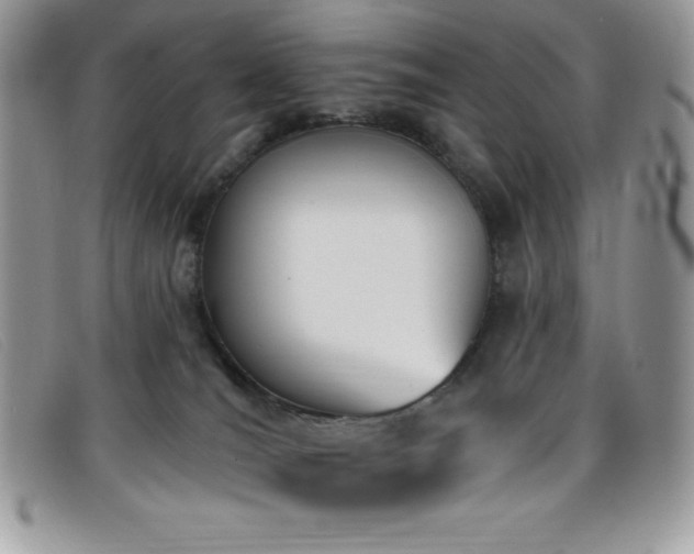 X0000099320036200805021323