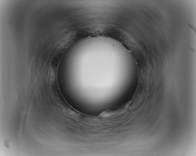 X0000099320037200805021323