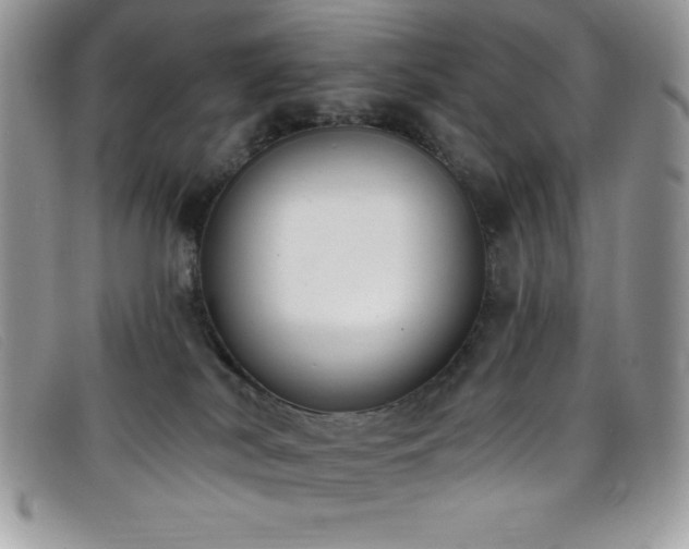 X0000099320038200805021323