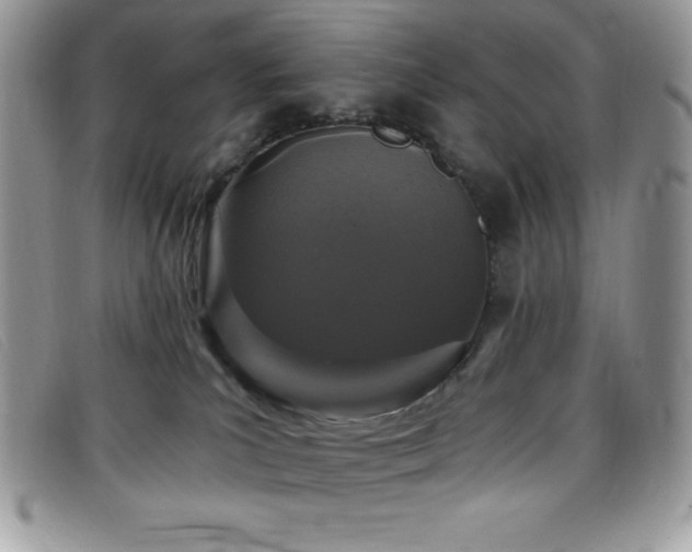 X0000099320039200805021323