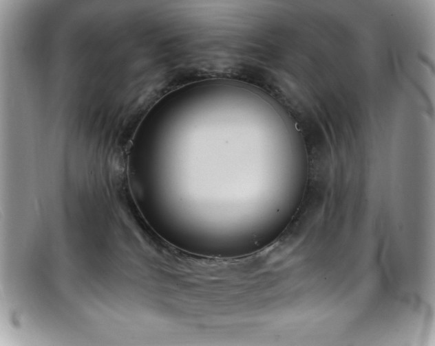 X0000099320040200805021323