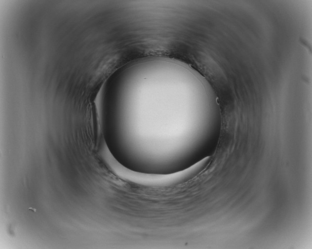 X0000099320041200805021323