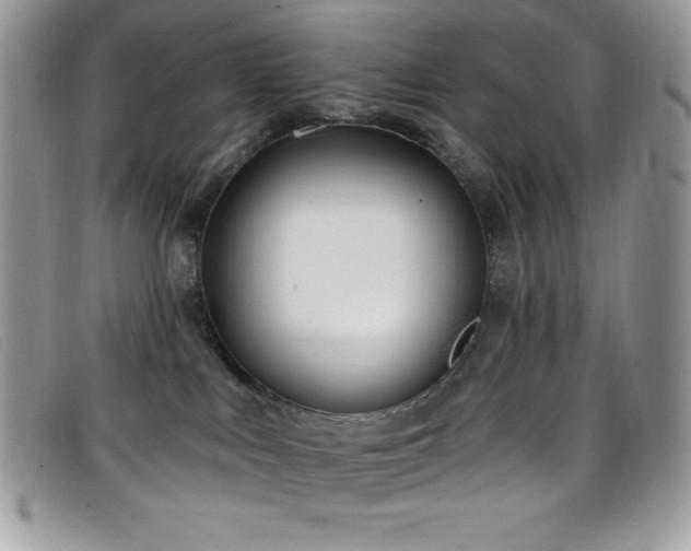 X0000099320043200805021323