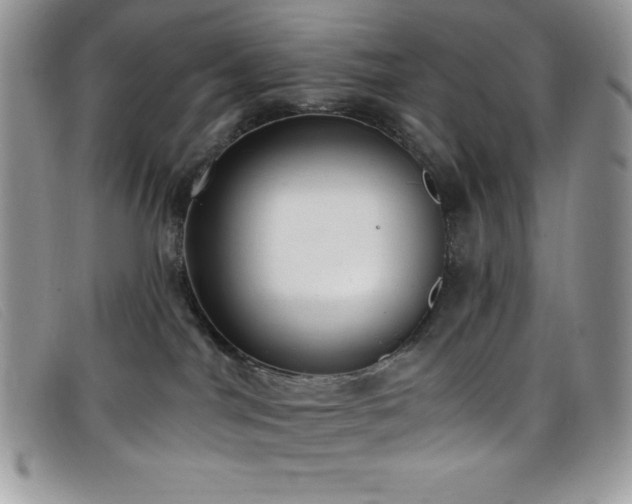 X0000099320044200805021323