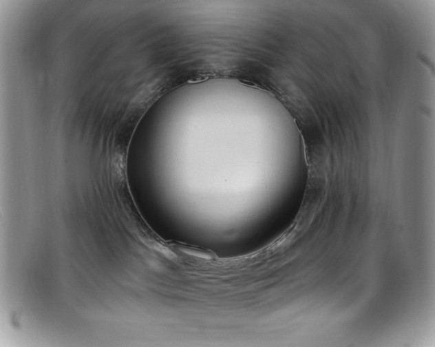 X0000099320045200805021323