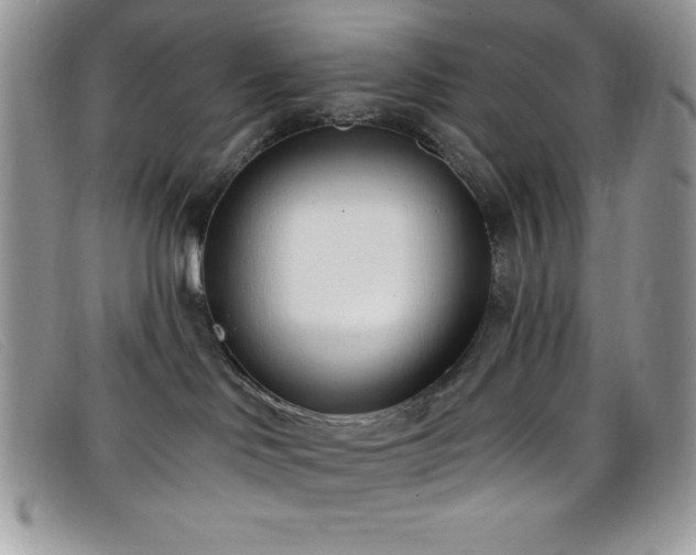 X0000099320046200805021323