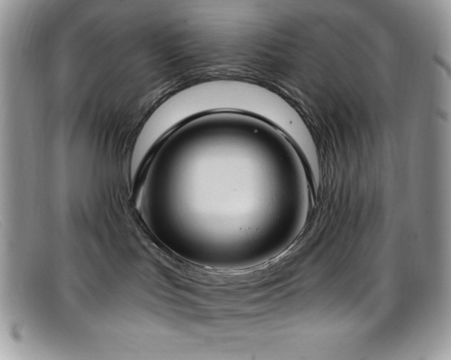 X0000099320047200805021322