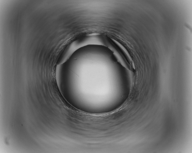 X0000099320048200805021322